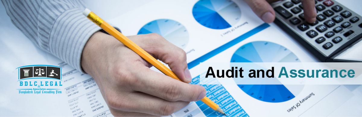 audit and assurance service